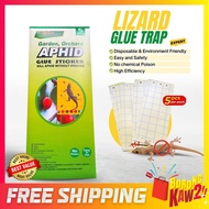 Adhesive Sticky Glue Trap Lizard Aphid Gecko Strong Boards for Pest Control Lizard Trap Buku Pelekat