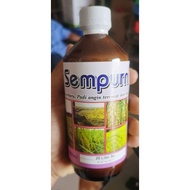 Racun Padi Angin Sempurna 500 ml