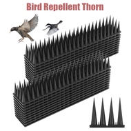Anti Bird Barrier and Pest Control Bird Spikes Anti Pigeon Nail Fence Bird Spikes Bunnings