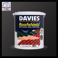 Davies Roofshield Premium Roof Paint Gloss Finish - 4 Liters（hot）