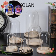 YOLANDAGOODS1 Glass cloche Home Decor Plants Glass Vase Terrarium Transparent Bottle Flower Storage box