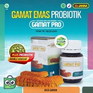 Gamat Emas-Gamat Kapsul-Kapsul Gamat Emas PLUS Probiotik