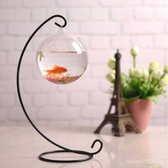 Hanging Hanging Glass Transparent Succulent Plant Fish Tank Vase Small Glass Fish Tank Creative Betta Tank Mini Fish Bowl