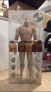 全新 ACI Toys 1/6 ACI-01 Muscular Bodies Rock Andrew 肌肉素體