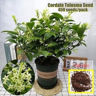 500 Seeds Telosma Cordate Seeds Fragrant Flower Seeds for Planting Benih Pokok Bunga Indoor Flowering Plant Seed