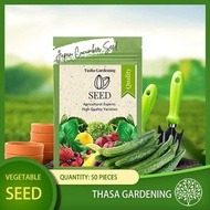 TASHA GARDENING 50pcs Japanese Cucumber Timun Jepun Biji Benih Sayur Sayuran Vegetable Seed Seeds Plant Vegetables 日本黄瓜