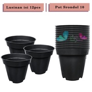 Lusinan 12 pcs Pot Tinggi Srondol 10cm Hitam plastik Tanaman Bunga - 10 pcs