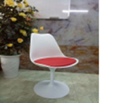 Ghế Tulip siêu hot cho quán cafe lounge bar phòng chờ