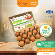 QL Day 1 Egg (OMEGA) - M/L (20pcs/30pcs/40pcs) Fresh Egg...