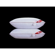 2 Nos 5 star hotel pillow
