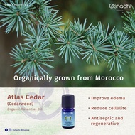 Oshadhi Cedar Wood (Atlas Cedar Wood) organic Essential Oil (10ml)