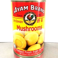 AYAM BRAND MUSHROOM 420g