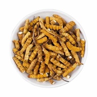 Cordyceps Pure Meat Broken Grass สินค้าแห้งของแท้จากป่า