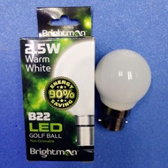 Night lamp Lantern bulb LED Ping Pong bulb 2.5W B22 Warm White 3000k