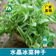 Crystal Ice Vegetable Seeds Four Seasons Indoor Balcony Potted Plant Specific Vegetables Africa Crested Wheatgrass Seed
