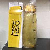 Tupperware H2Go Straw