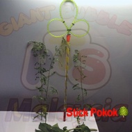 Bubble giant (stick pokok)