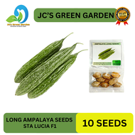 LONG AMPALAYA SEEDS (10 SEEDS) STA LUCIA F1/HYBRID/EASY TO GROW - 1PACK