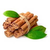 Ceylon Cinnamon / Ceylon Kayu Manis
