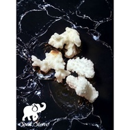 Soul Stone Natural Crystal No Optimization White Coral Red