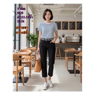 Model From T2000 No.6820