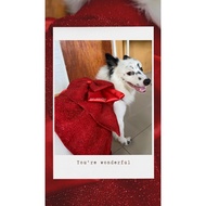 Furr You Candy Crush Dress with oversized ribbon for your Dogs and Cats