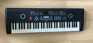 61鍵電子琴 (kids piano)