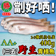 為食熊 - AA+三去野生青根魚(去鰓去臟去鱗)(2-3條)(約400g)(真空獨立包裝)(急凍-18°C) 青筋魚 馬頭魚 (注意：由於人手扯腸處理鮮活魚，有機會殘留內臟)