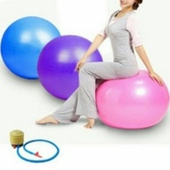 GYM BALL LARGE 65cm YOGA BALL FITNESS GYM BALL + FREE PUMP