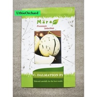 Mara Premium Selection - Melon Seeds C. Dalmation F1 7 Seeds