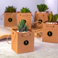 Cactus paper bag size 10x10x10 (get 50 pcs)