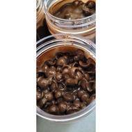 COCOJAR BERYLS PADU