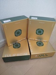 香港現貨🌹日本Tokyo Tulip Rose🌹