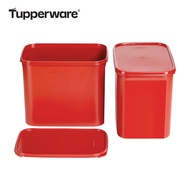 Tupperware | Marinating Food Grade Storage Box 14.7L