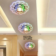 Modern design ceiling lamp
