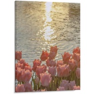 Pink Tulips Sunset Lake Canvas, Romantic Spring Flower Wall Art Unframe-style 16x20inch(40x50cm)