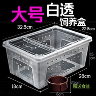 Reptile Breeding Box Amphibian Snail Spider Gecko Horned Frog Large Turtle Breeding Box with Hideout