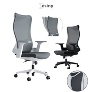 Desiny Office Chair High Back Ergonomic Chair Fixed Handle Study Chair