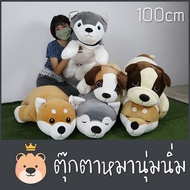 ตุ๊กตาน้องหมา (สุนัข) 100cm ตัวใหญ่ ผ้า นุ่มนิ่ม ของแท้ 100% ไซบีเรียน / บลูเทอเรีย / ชิบะ / บีเกิ้ล