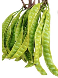 PETE SUPERAN ISI 30 LONJOR/SAYURAN SEGAR/PETE TUA/PETE SEGAR PILIHAN/PROMO PETE MURAH/PETE WONOGIRI/