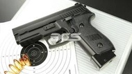 【HS漢斯】KJ KP02 KP-02 P229 CO2手槍 全金屬-KJCSKP02B