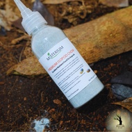 Premium Isopod Chow – High Nutrient Food for Isopods, Springtails & Bioactive Pets (Misterium)