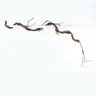 Premium Branches Plastic Artificial / Ranting Kayu Hiasan Luar Rumah Hutan / Fake Branches / Ranting