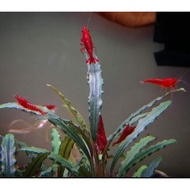 Aquarium accessories of various types, package, 65 rows, contents 90e