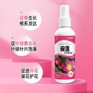 Nine Dragon Platform Water Lily Nutrient Solution Water Soluble Fertilizer Hydroponic Universal Fert