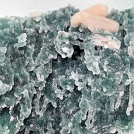 稀有 森林冰川景 魚眼石 ×  沸石 極墨綠 水晶標本 風水擺設