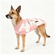 2026 Dog Sterilization Clothes Dog Cat Universal Pet Clothes Surgical Clothes Anti-Licking Male Fema