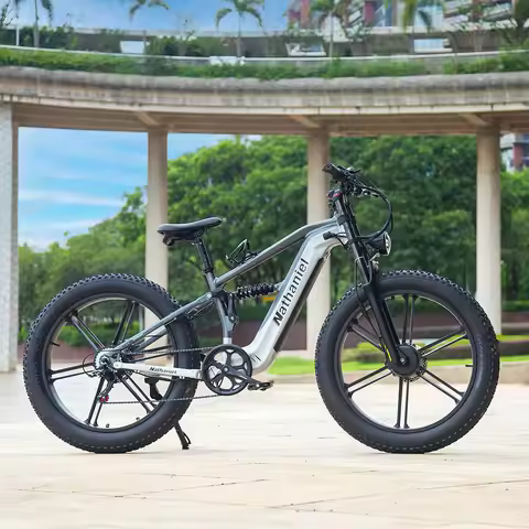 Nathaniel 2000W E-Bike SYR09 Dual Drive 26x4.0 Fat Tire 48V20AH Battery E-Mountain Bike Outdoor Spor