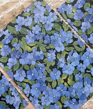 美國藍花包裝紙 A4 設計紙 (dami) 禮物