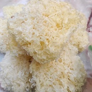 糖水必备👍特级白木耳花球/CEDAWAN PUTIH/WHITE FUNGUS /YELLOW FUNGUS/银耳